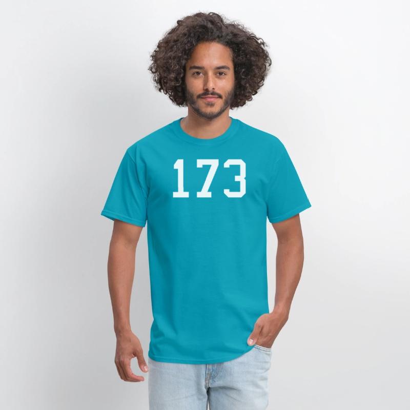173 Distressed Number