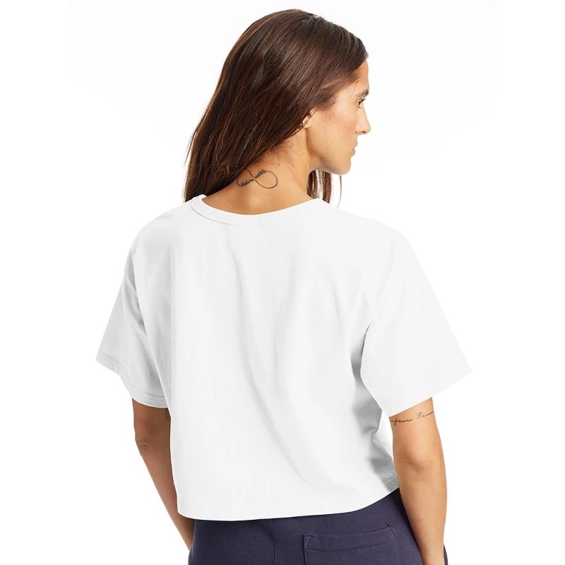 Dynamic Boxing Warrior Illustration