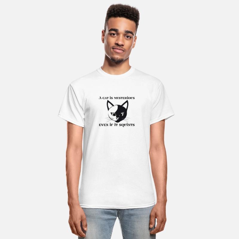 « A cat is mysterious even if it squints »