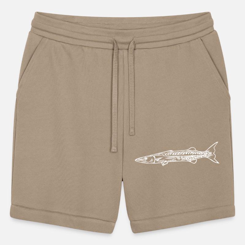 Barracuda Predator Elegant, Fast Barracuda