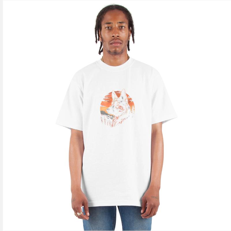 Colorful German Shepherd Outdoor