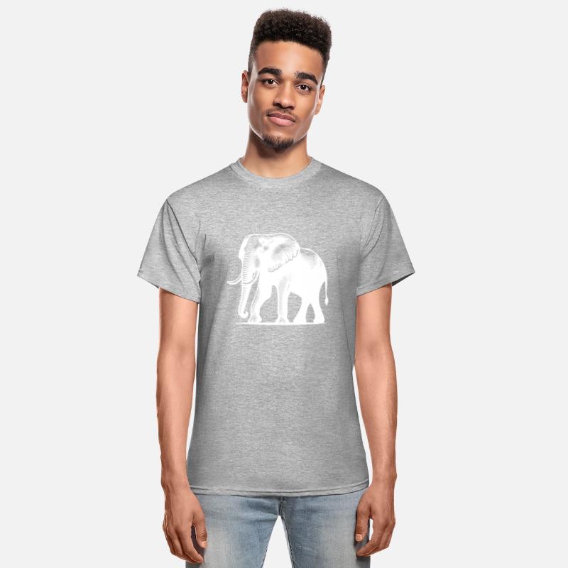 Elephant Portrait - Safari Trunked Animal