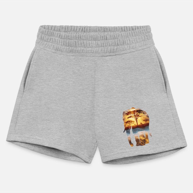 Elephant Silhouette with African Sunset and