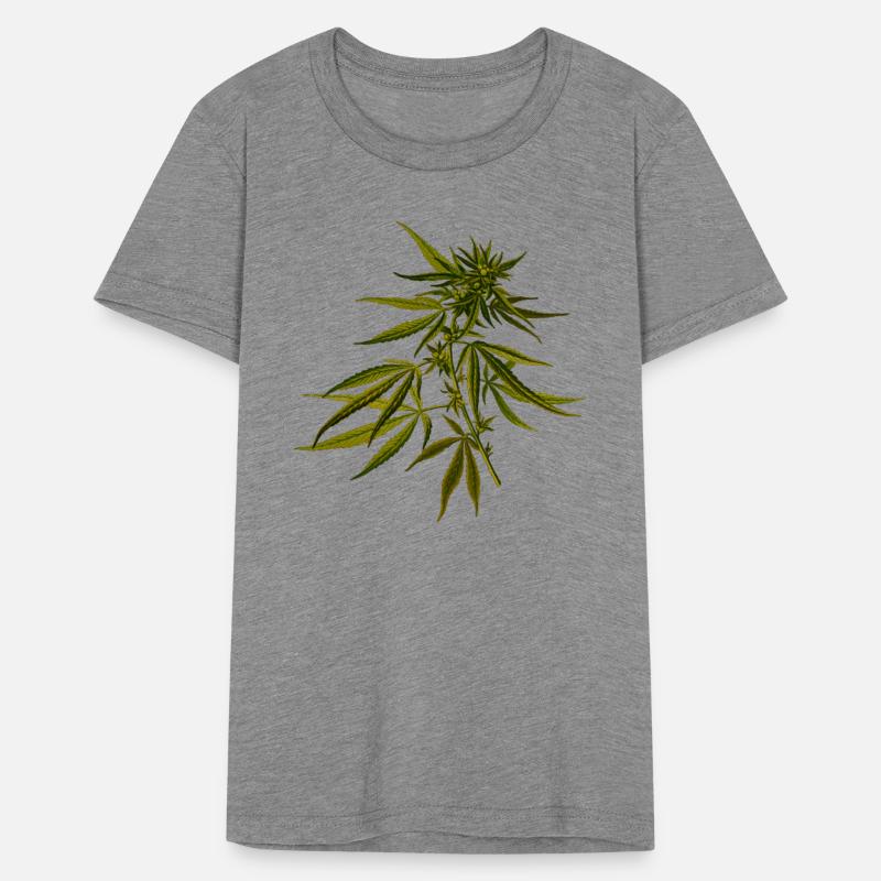 hanf cannabis kiffen marijuana hemp grass gras8