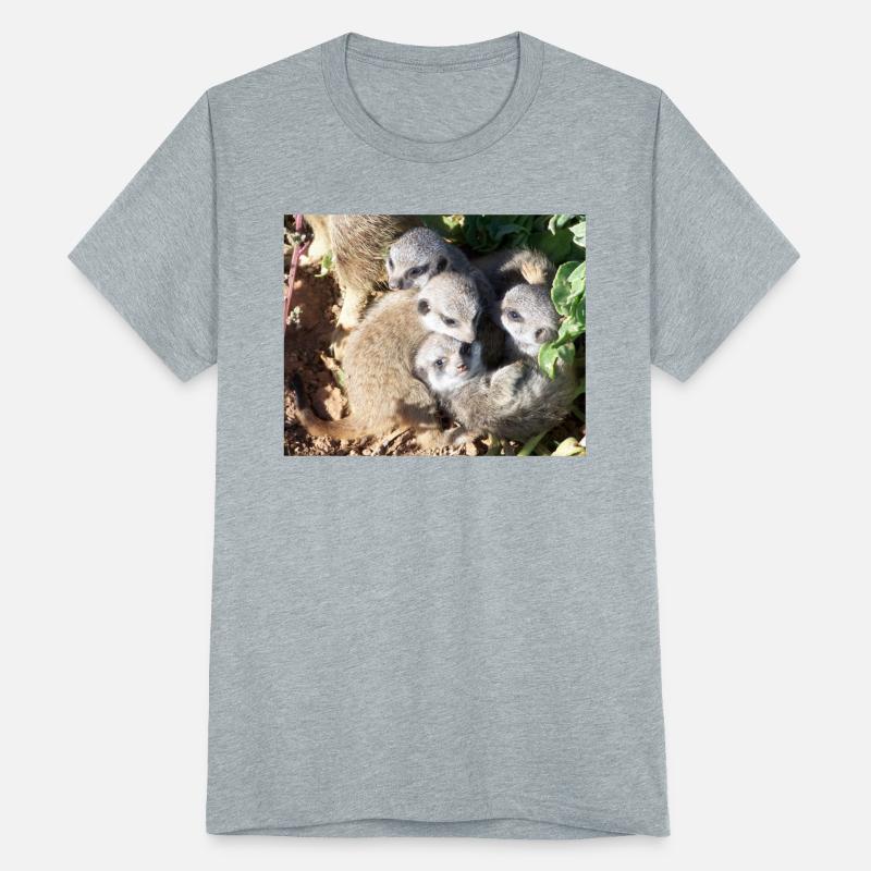 MEERKAT MAGIC MOMENTS ☆ BABIES CURLED UP TOGETHER