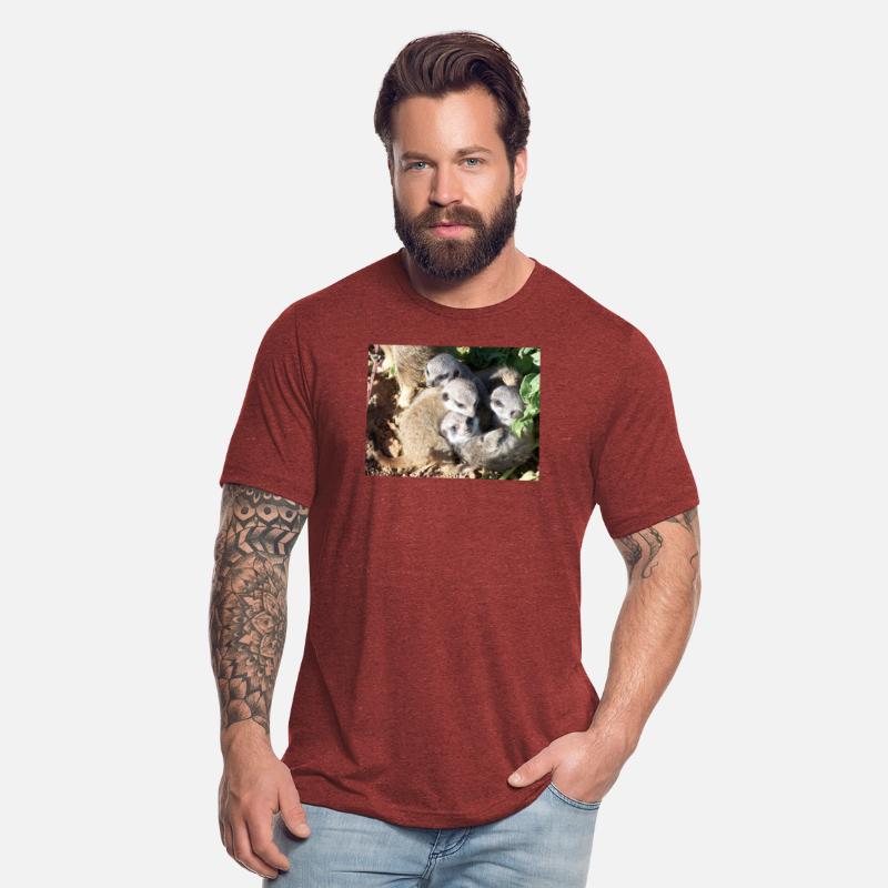 MEERKAT MAGIC MOMENTS ☆ BABIES CURLED UP TOGETHER