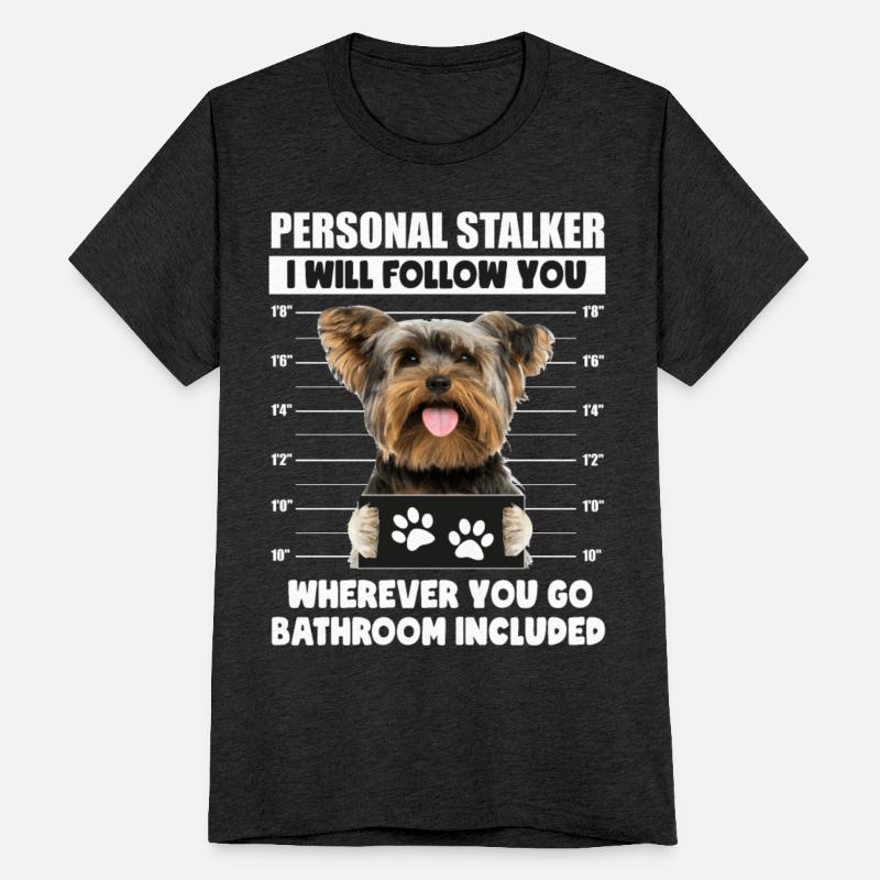 Personal Stalker Dog, Yorkshire Terrier, Yorkie