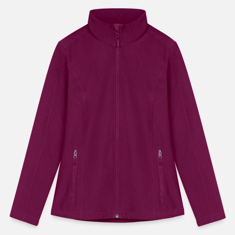 Sunset vintage Helicopter flying