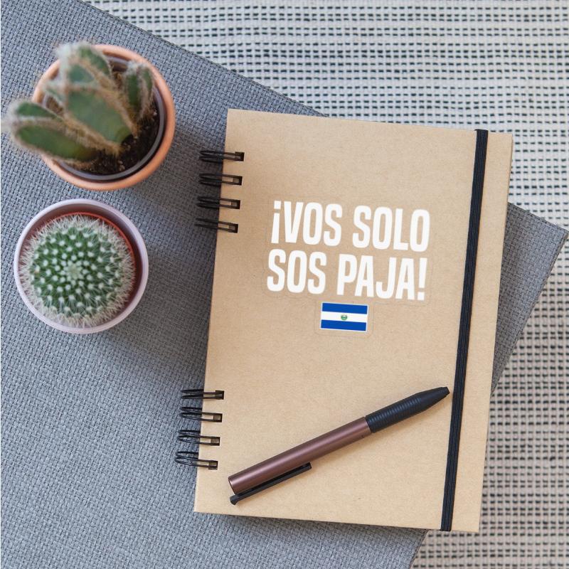 Vos Solo Sos Paja Salvadoran Slang El Salvador